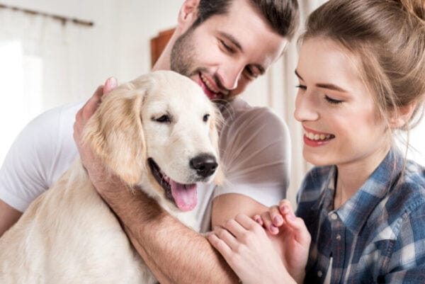 Pet insurance and best pet insurance companies